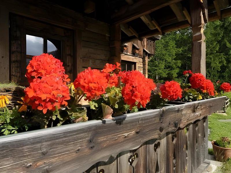 C0FC983FBBA84B6F4B98874D3AA9FB5C