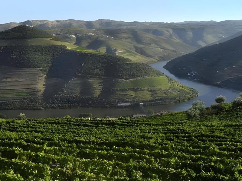 76C31D9D48146F4C3C67EE05993AB1CA