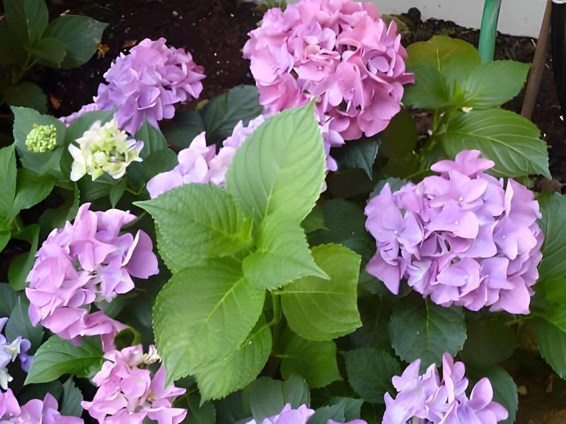 88573CFBA0FA6AF0D069851EF84CE4CF