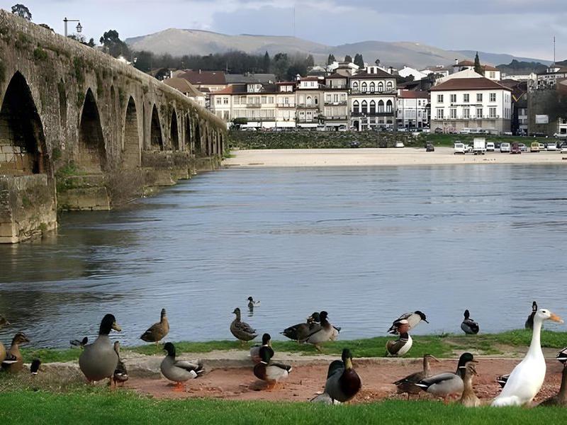 6D379CC4ACFFCD8ECAD8F5B6977EAEC0