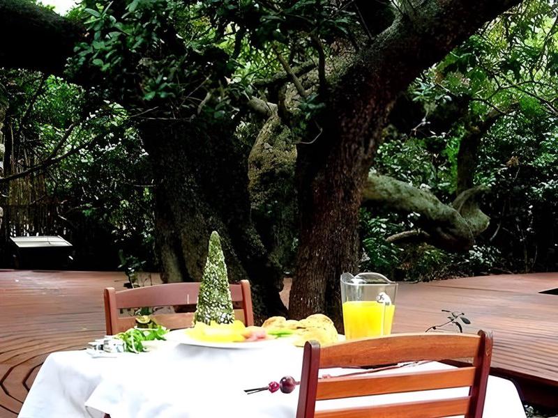 64DDAB37E319C88FC143303C852AFD04