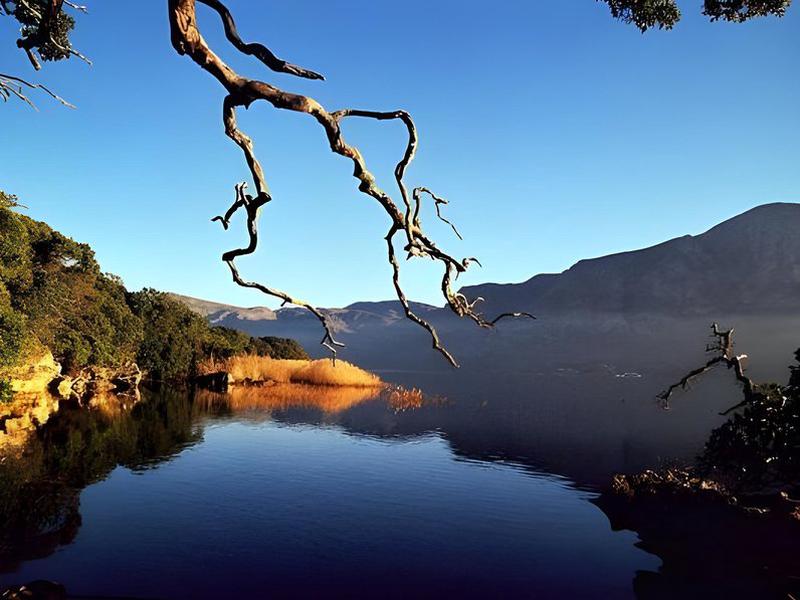 F7995DC4A6BA0CA9F83F7482B2FCCE40