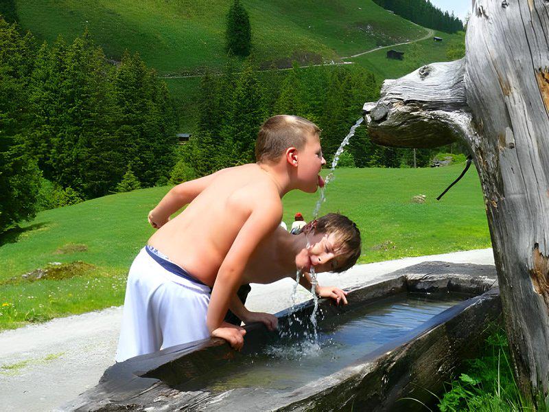 1AA40F471954F646E0149A339248AE13