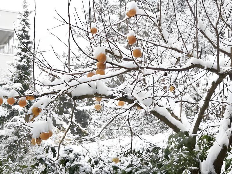 1A5489BBAC272C65894731396542768F