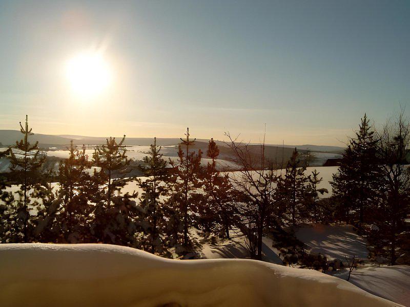 EB85599E8A794CDDC3C5967C2EC6372D