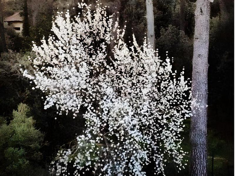 F92647469A07B2C787A04A7D760A0E13