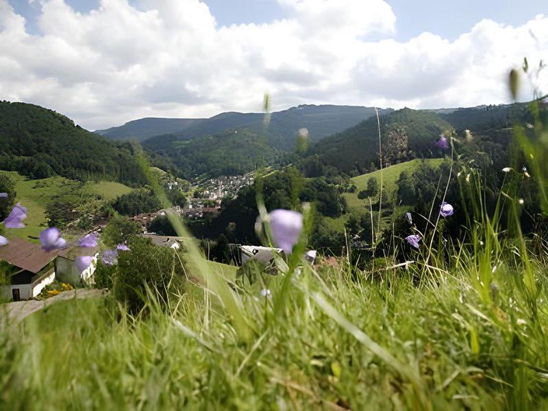 629D76140CD69EF53EA2E9404538CD08