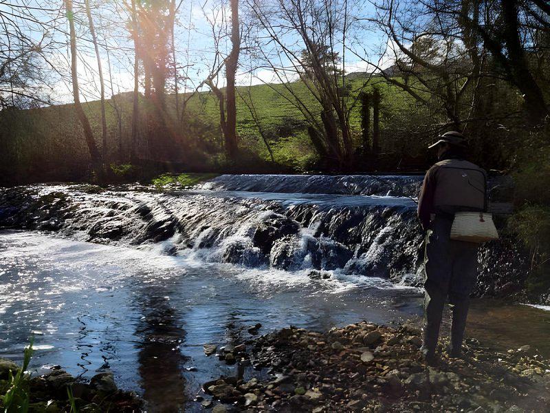 192DF9AA957C31E05FE70CF5D35993D5