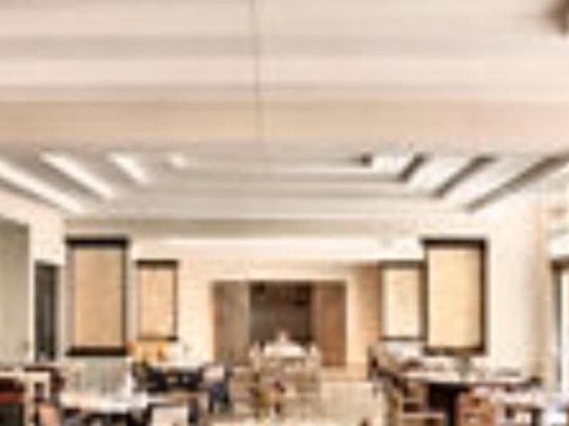 D14E0216E2B1DD2695CD6F9CD17E24CA