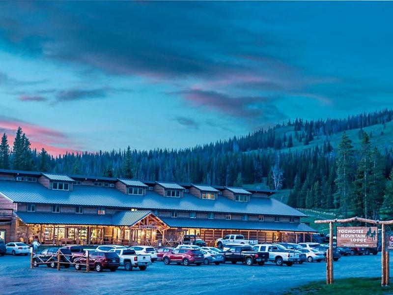 44F5E7011EFF6A6D75498AEF7431FFD3