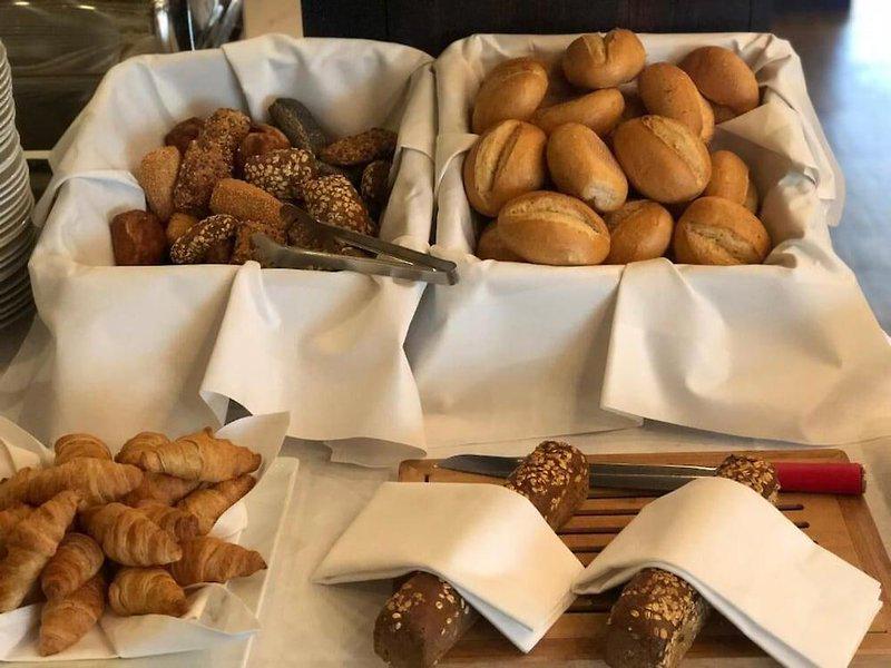 802042B93A35DF315654B5A162D245D2