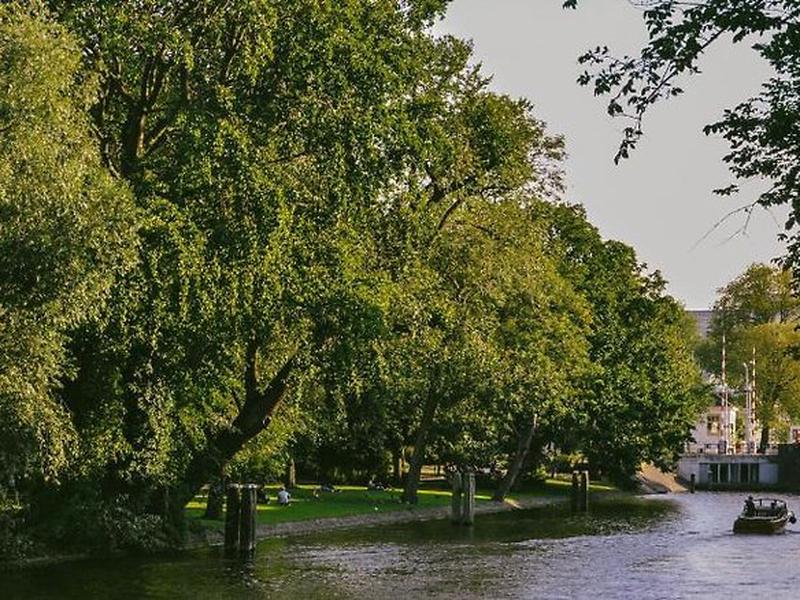 4F55B92A8C72DEDF9A407612D5178B46