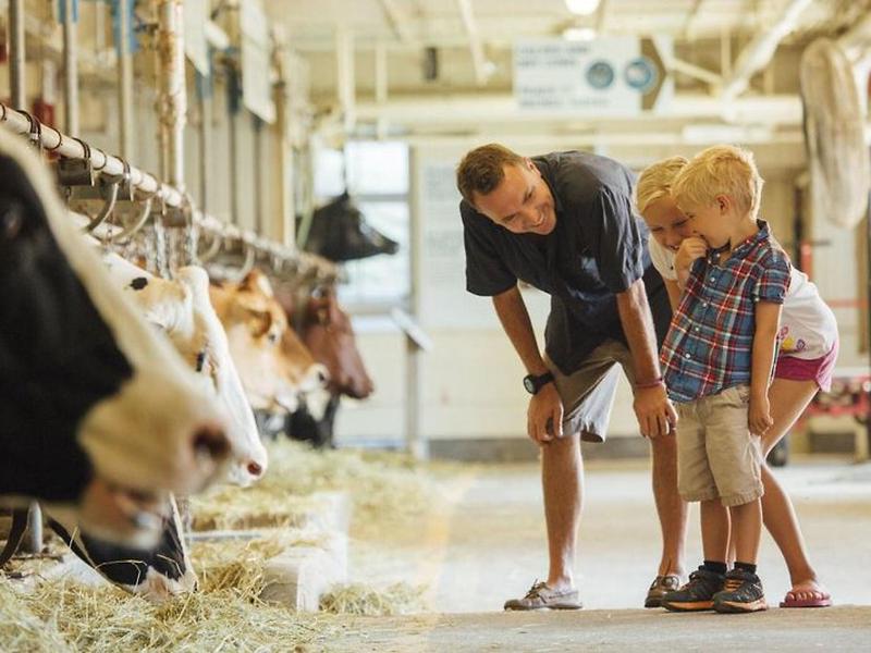 CFE4C40E49641CD02864AD4E860CA544