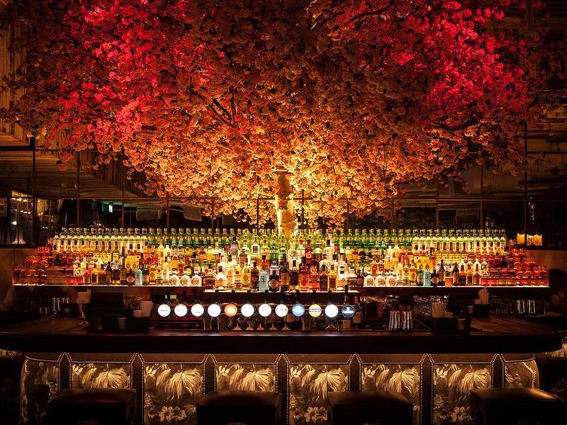 7B6B859FD1FBA7B05B0841DD10F9C282