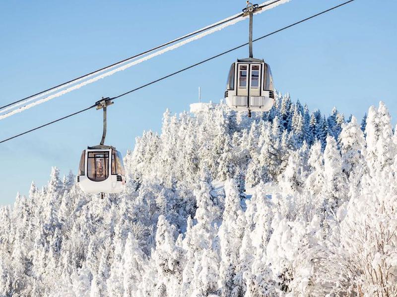 8926C089B758CECC32AC82381DD50EB8