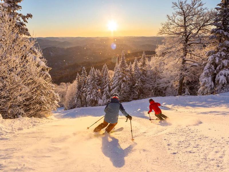 F74AC9988F73465138148A0335EA611C