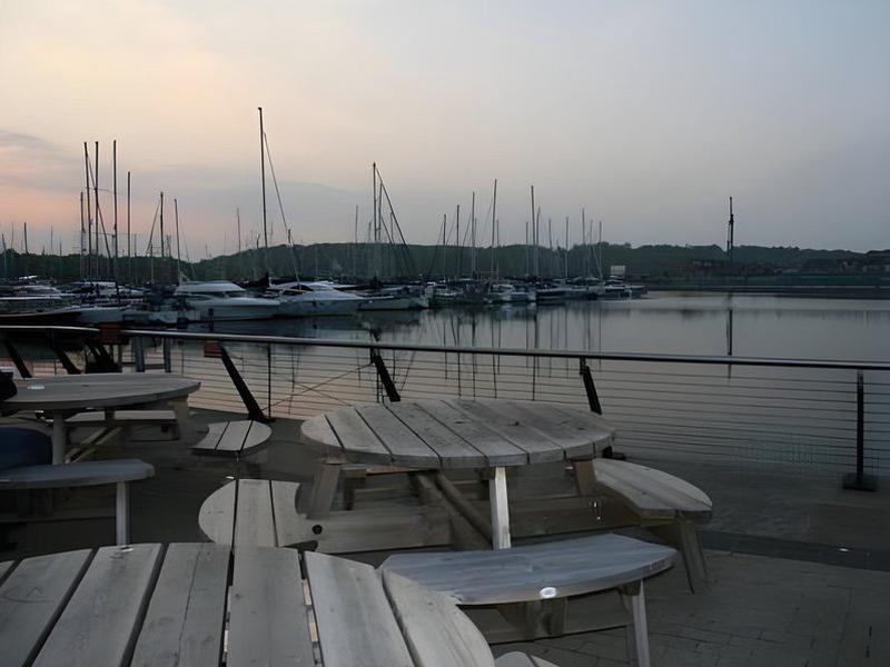 D8884C0FAE5ADA037C483B8FF20697B8