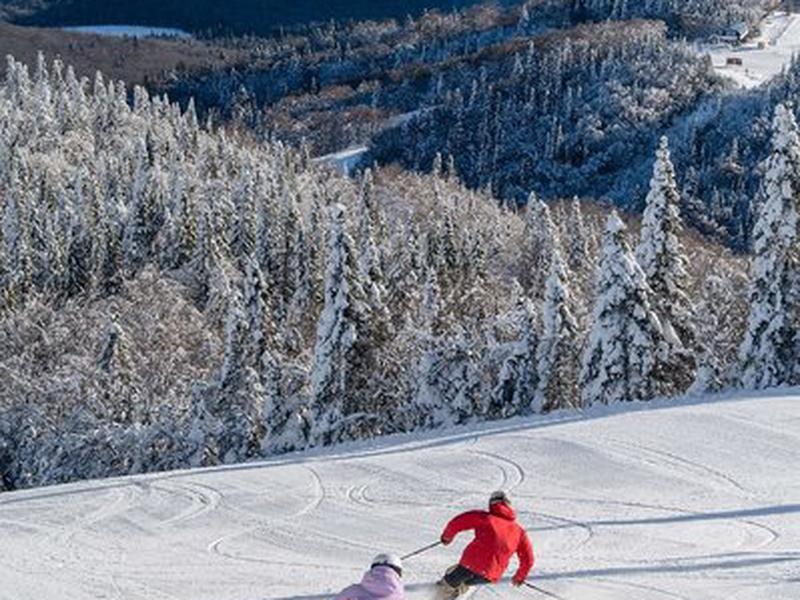 9E512CEAAD02F02BDA1C3B9F7C912B63