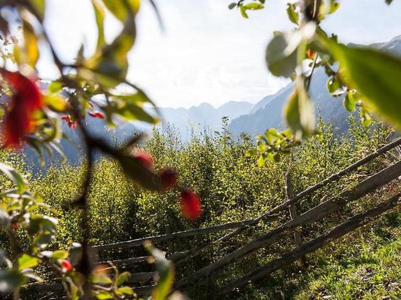 4A77BF29EAEDD21EA40E155299D02A07