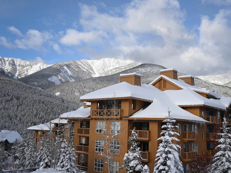 196297957D390DDE12F3D0BDC6DC1A63