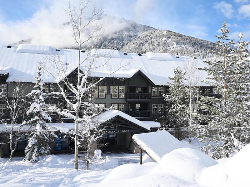 A5353ECB03D5457E01C44B54C2DBC369