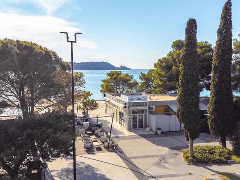 71EDEF35B76CE49C0919DE7D05CD6879