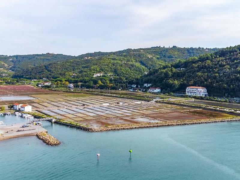 A669DF9F0A3AE6FA07DC07960AFA127A