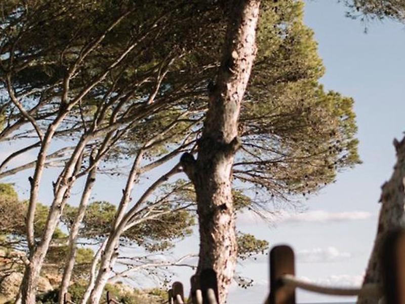 D404CF5FD9D9F7A935D95C01B319ED17