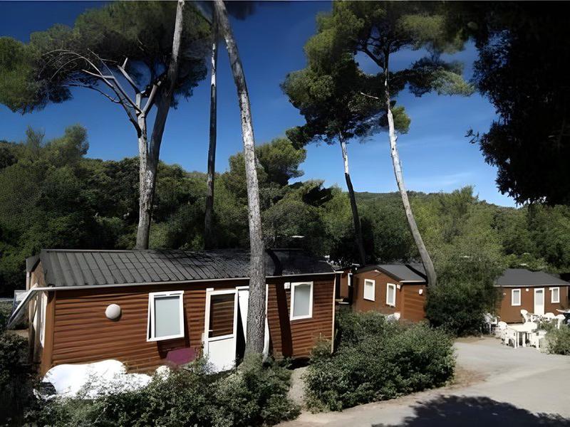 989C61667E04258D2AF240E9D4DD79CC