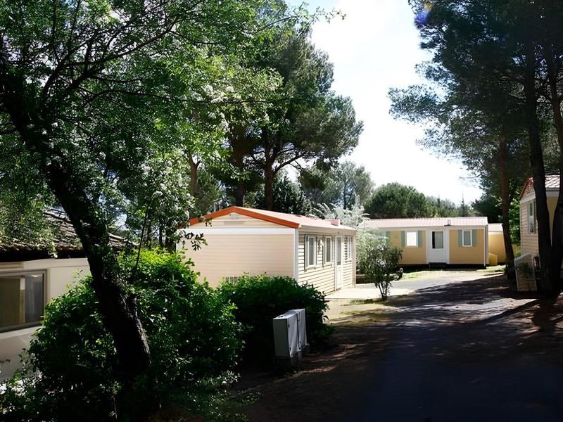 81D0AE2384A9BE9F1E1F96442D2D1DF0