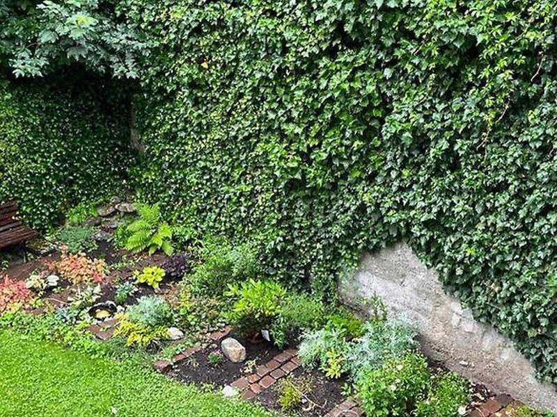 D05ADD24CDBC86EC034F54567789FA72