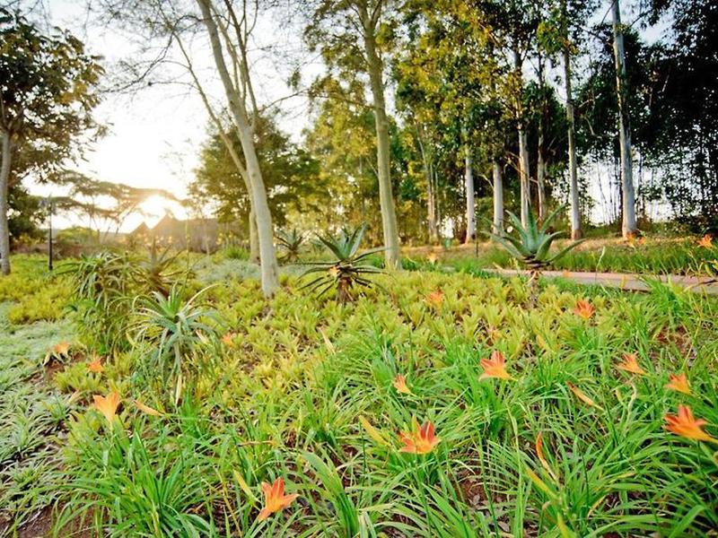 042F30CDC0E14A16BC8F5B4409B82445