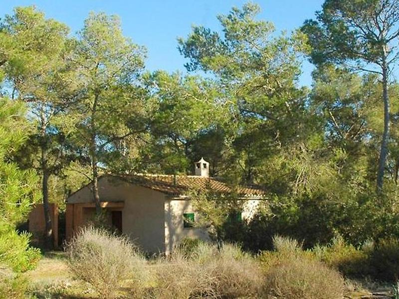 8B50E12DDB50977947D6D678620EA6CF