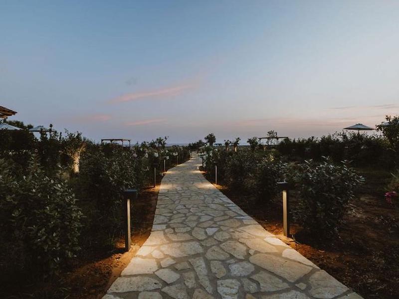 87547D13A8ECB1A3B64B14442E8C9BF1