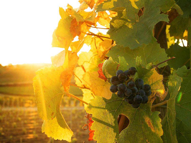 3F07714D00D8106A70BB5459AAE60D93