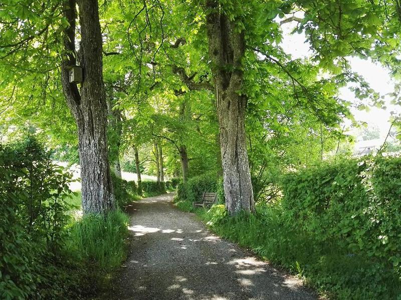 3B0D82C32EF43F2240D23FF39749F7FA