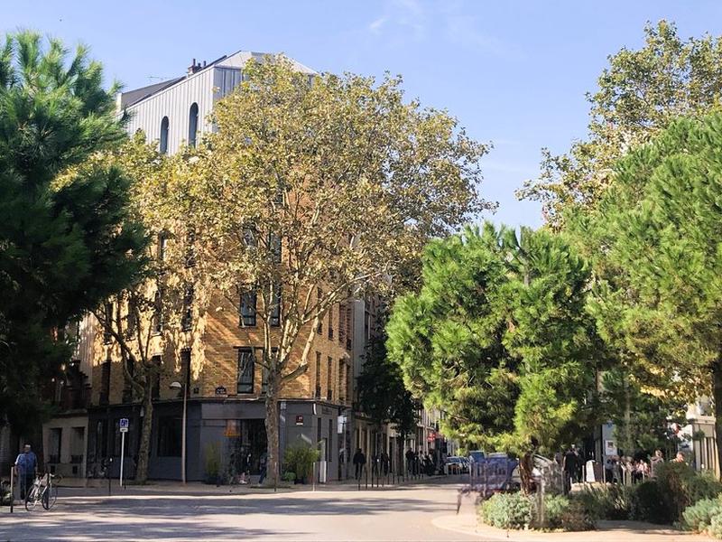 D485203E2F9B688509DD29D36ED39DD9