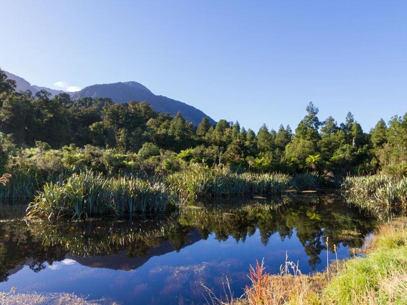 31F9E63A32398BF1379D58C3B6CEA34D