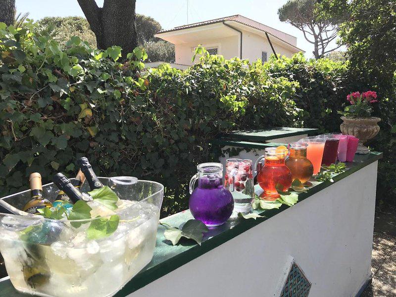 49936D906DD33A6F4C3F0DFF902B5862