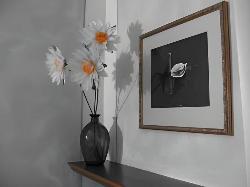 E1AA4767B534E3AF3A4A01FCB94F2016