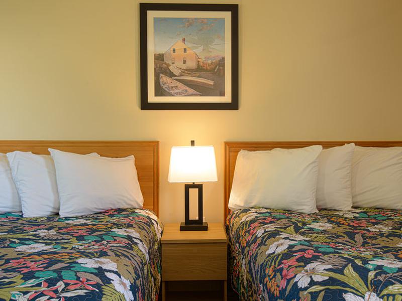 5E23AE289B783424BC383B7BD04515CA