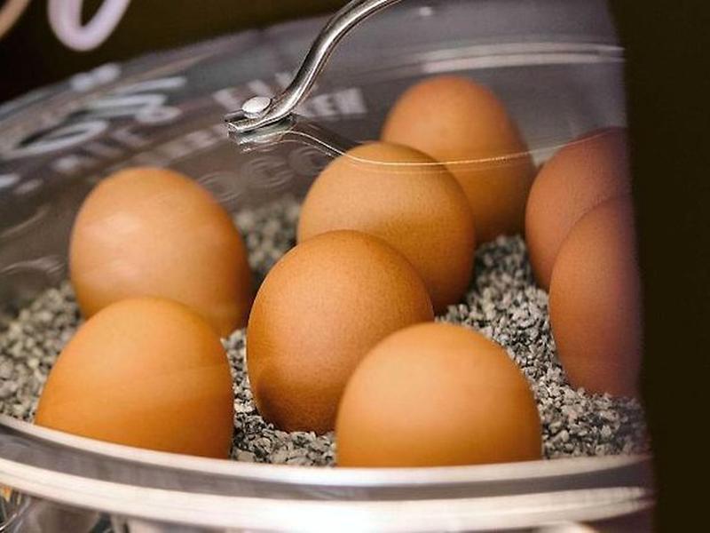 A9F0C6228C345348A9F5B1840830446D