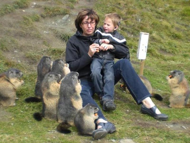 0CBCD6E7822FDE8CE600F9AB43597182