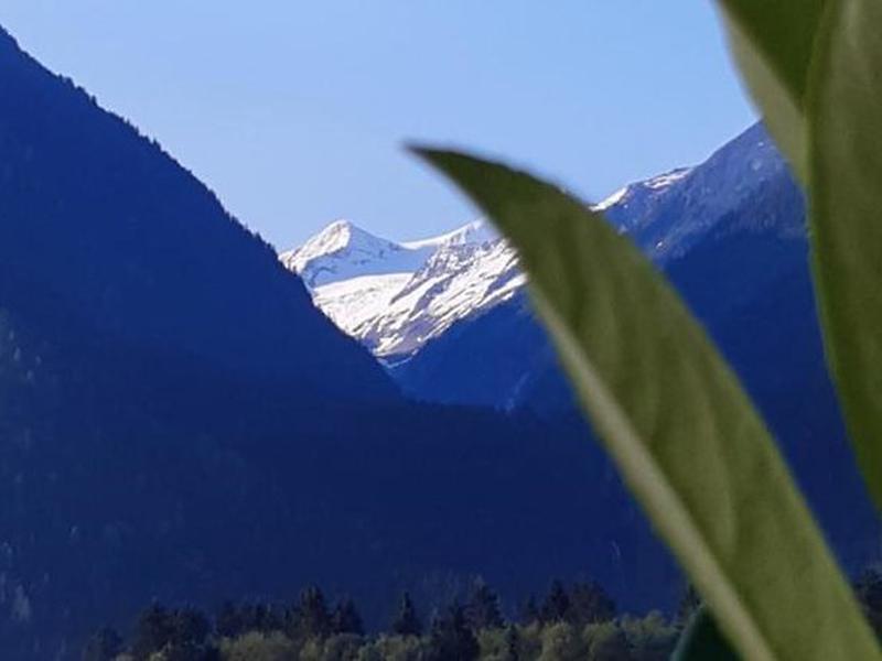 C64478BC6731F4BBD2DE2333B52A40CB