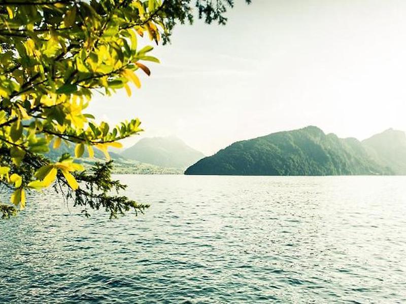 B288A122657093467D5057C90D318048