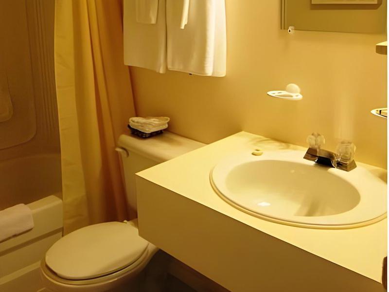 C9509870491392D623D2BC10D1CBF8BB