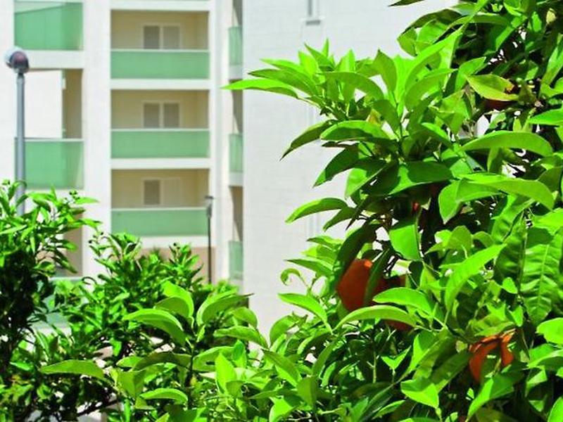 2986B49CCF40181725C6FDFE6D6CA765