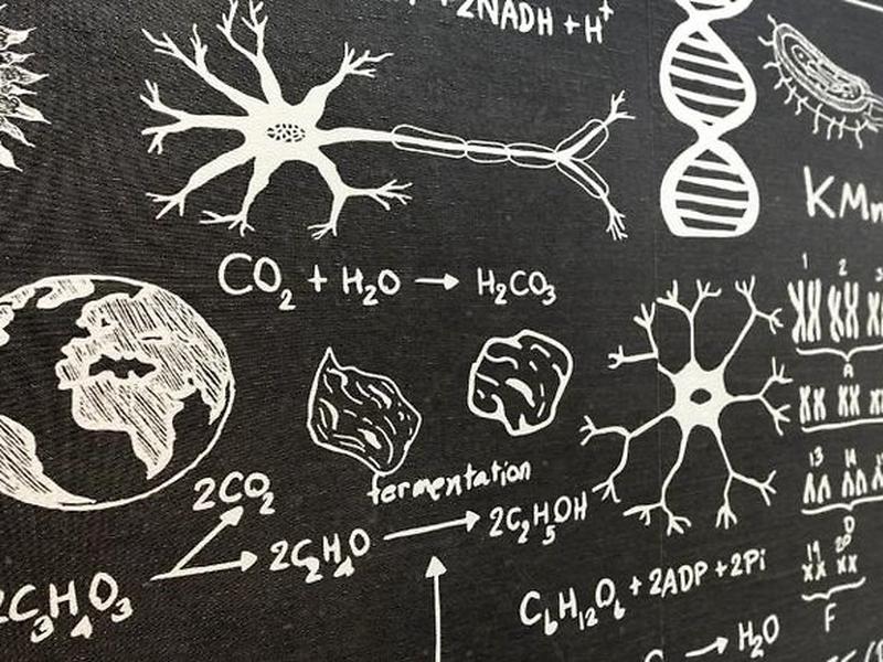 EA2E3DD6CEA10D7C6432E9C9B8E1569C