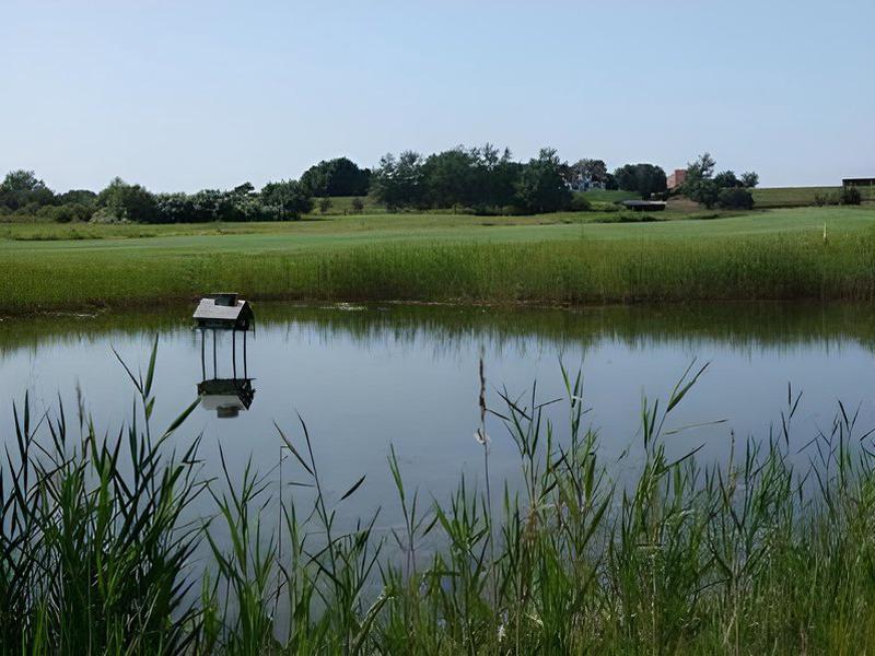 0FFE488775081BCCE3FD1FDC2299E428