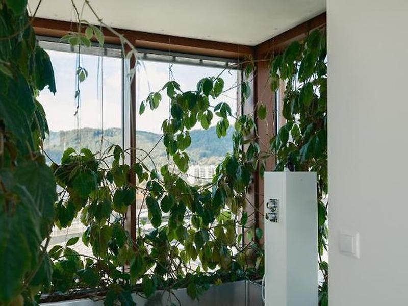 5E1B3629D356E1389580CE969FF42A78